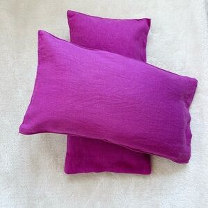 Zara Throw Pillows and Case Set of 2